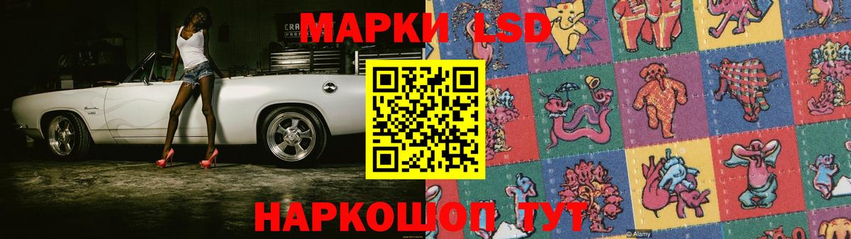 А ПВП Петропавловск-Камчатский