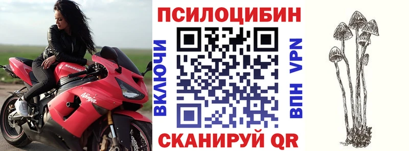 Галлюциногенные грибы мицелий  blacksprut зеркало  дарк нет клад  где продают наркотики  Петропавловск-Камчатский 