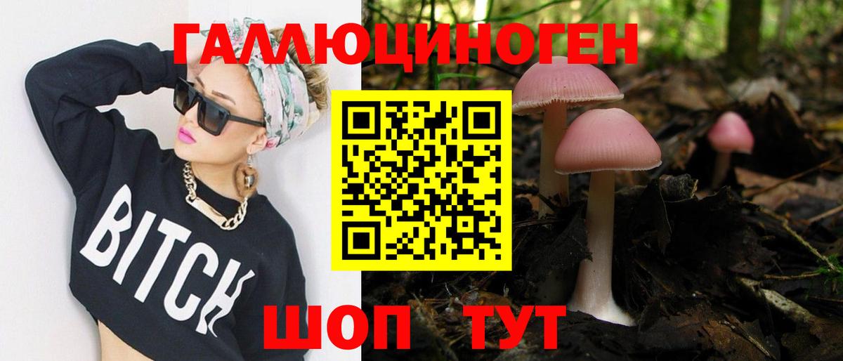 Петропавловск-Камчатский  Псилоцибиновые грибы GOLDEN TEACHER  Вход с VPN 